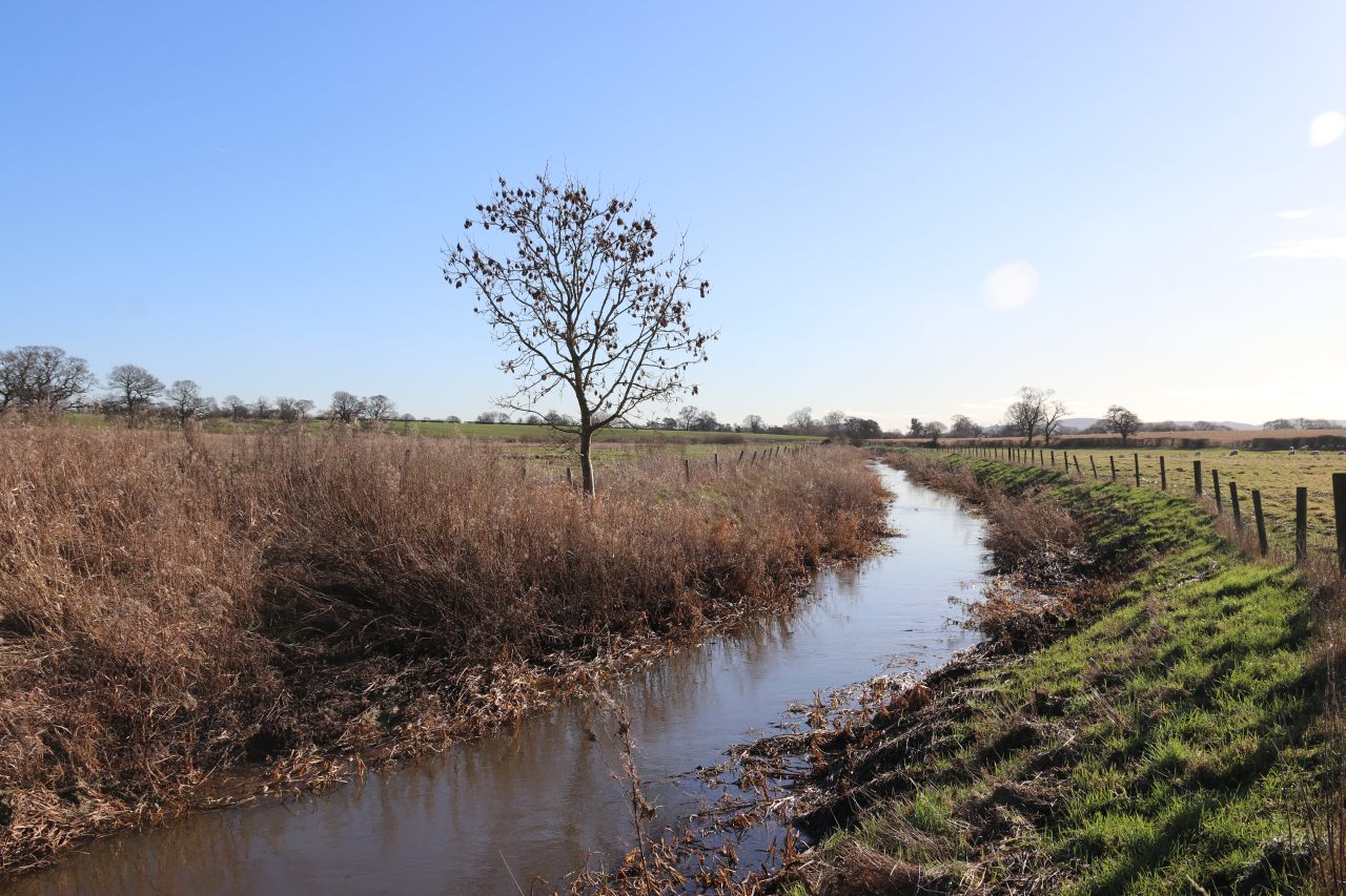River Gowy  River Gowy