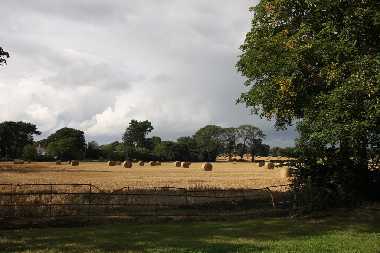 Harvesting complete  Harvesting complete