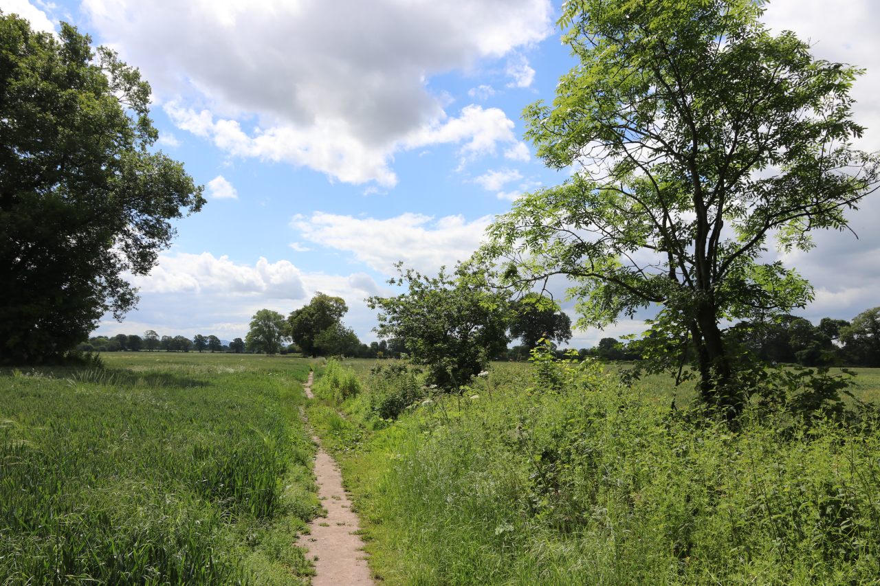 Christleton in July