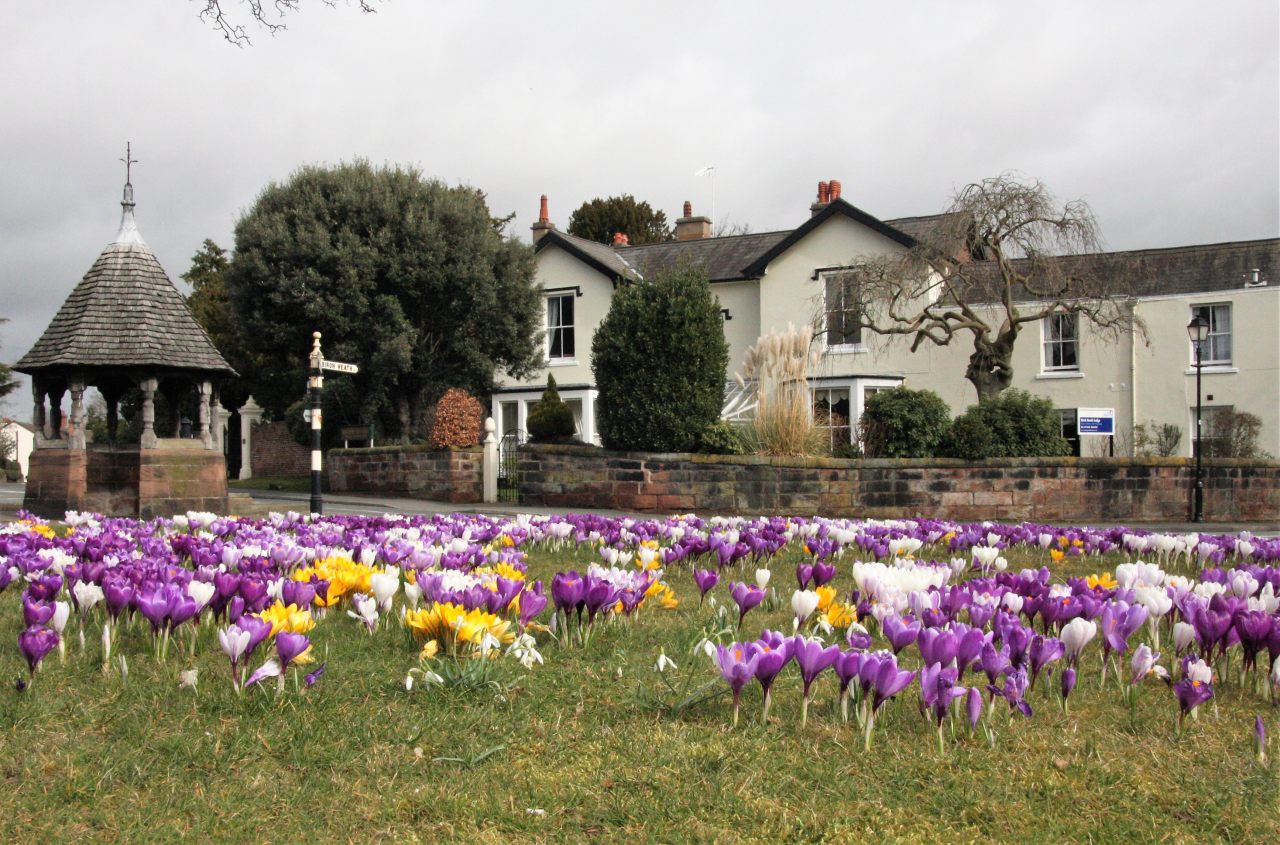 The Pump House and Village Green  The Pump House and Village Green