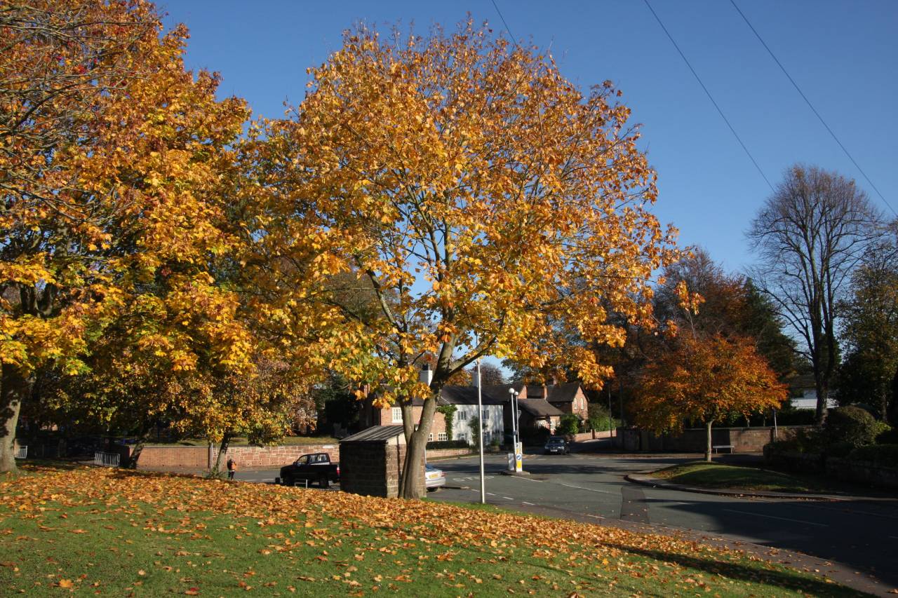 Village Road  Village Road