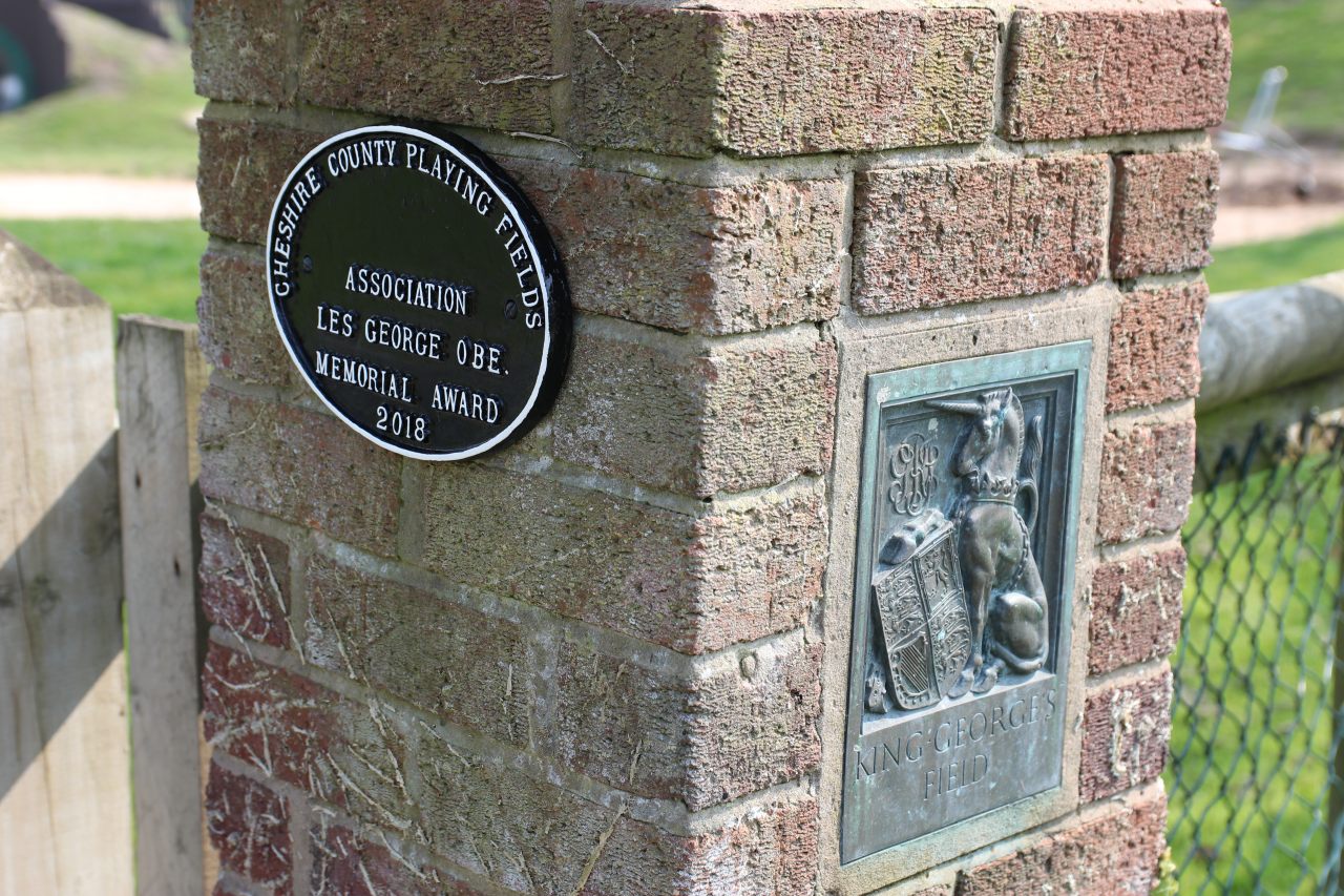 The Playing Fields  The Playing Fields