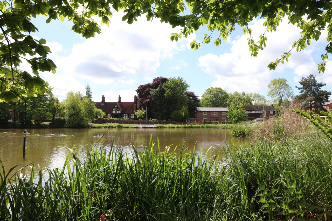 The Pit in 2019  The Pit in 2019