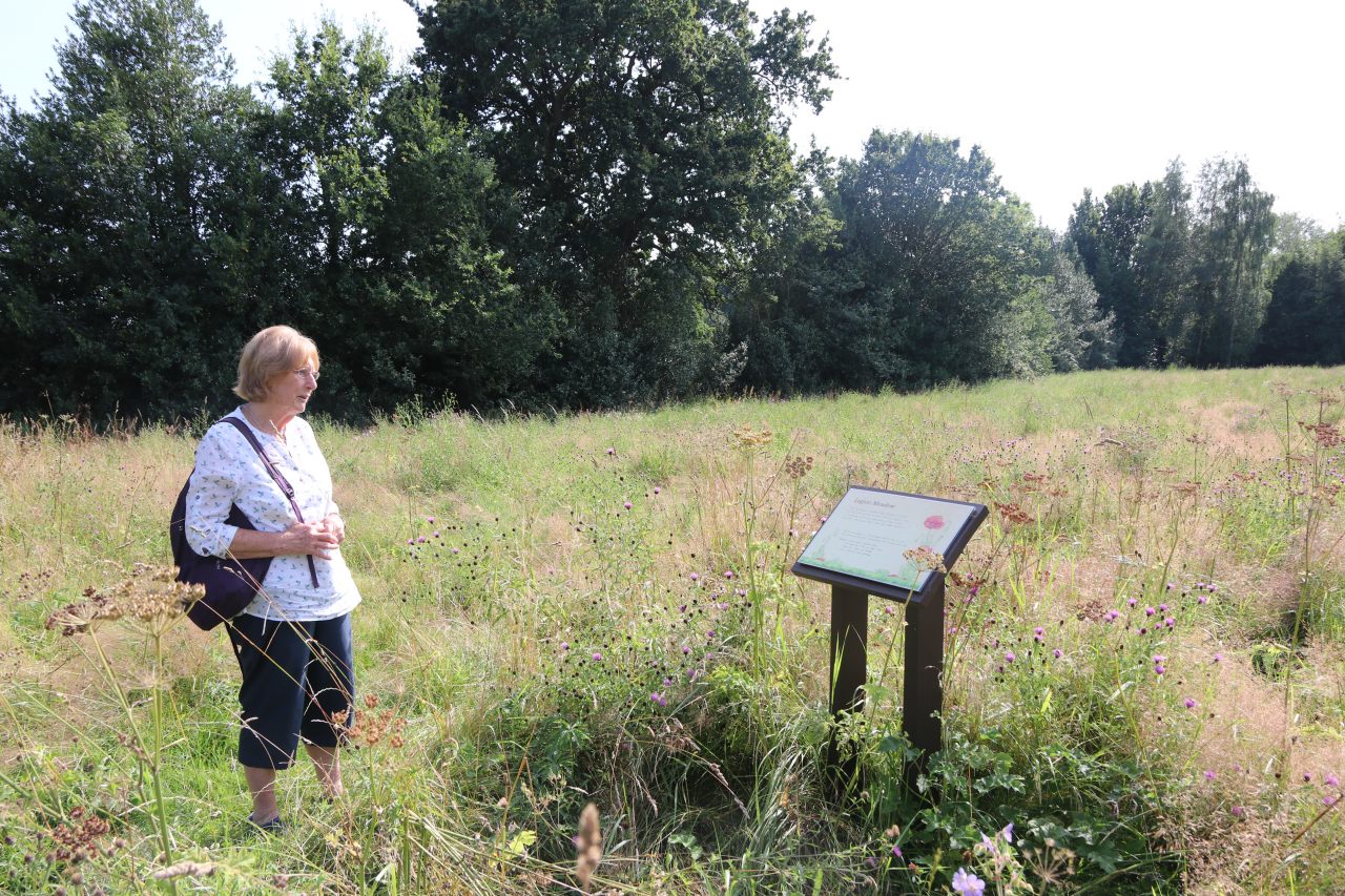 Legion Meadow  Legion Meadow