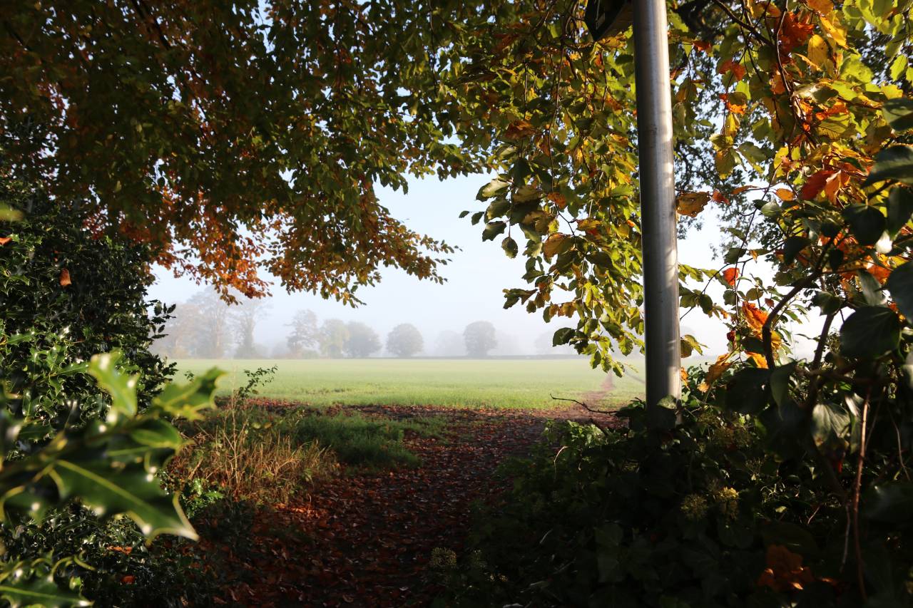 Misty Morning  Misty Morning