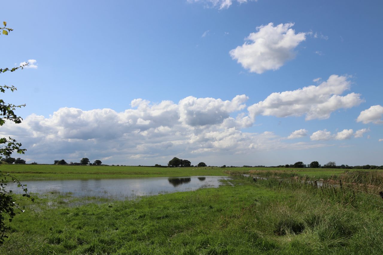 Flooding at Hockenhull  Flooding at Hockenhull
