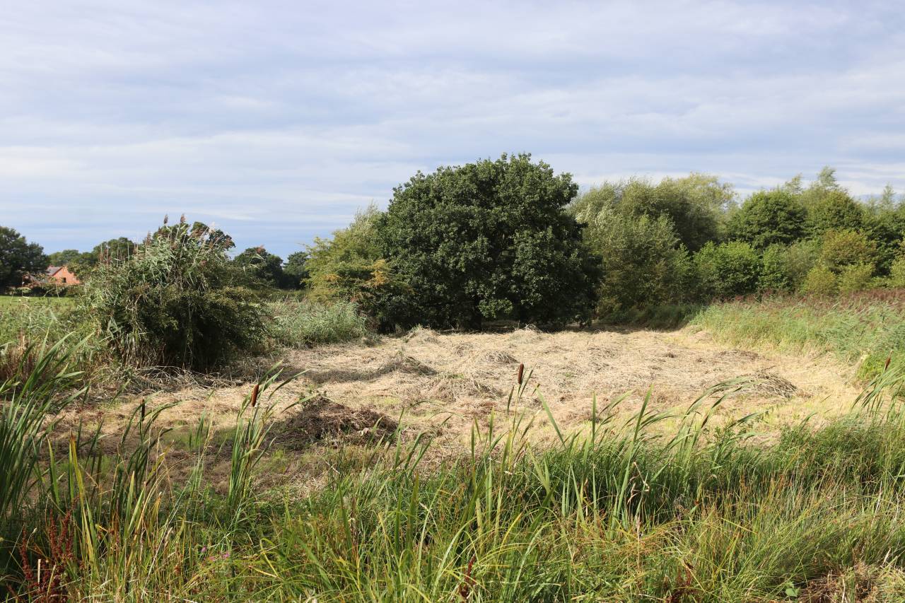  Newly cut meadow at Hockenhull 