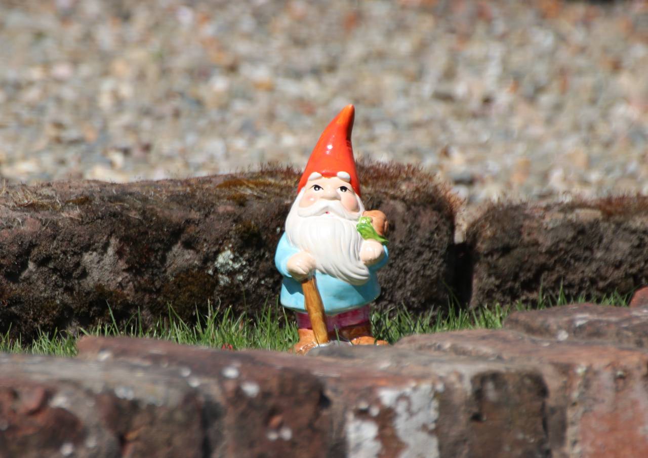  Village Gnome 