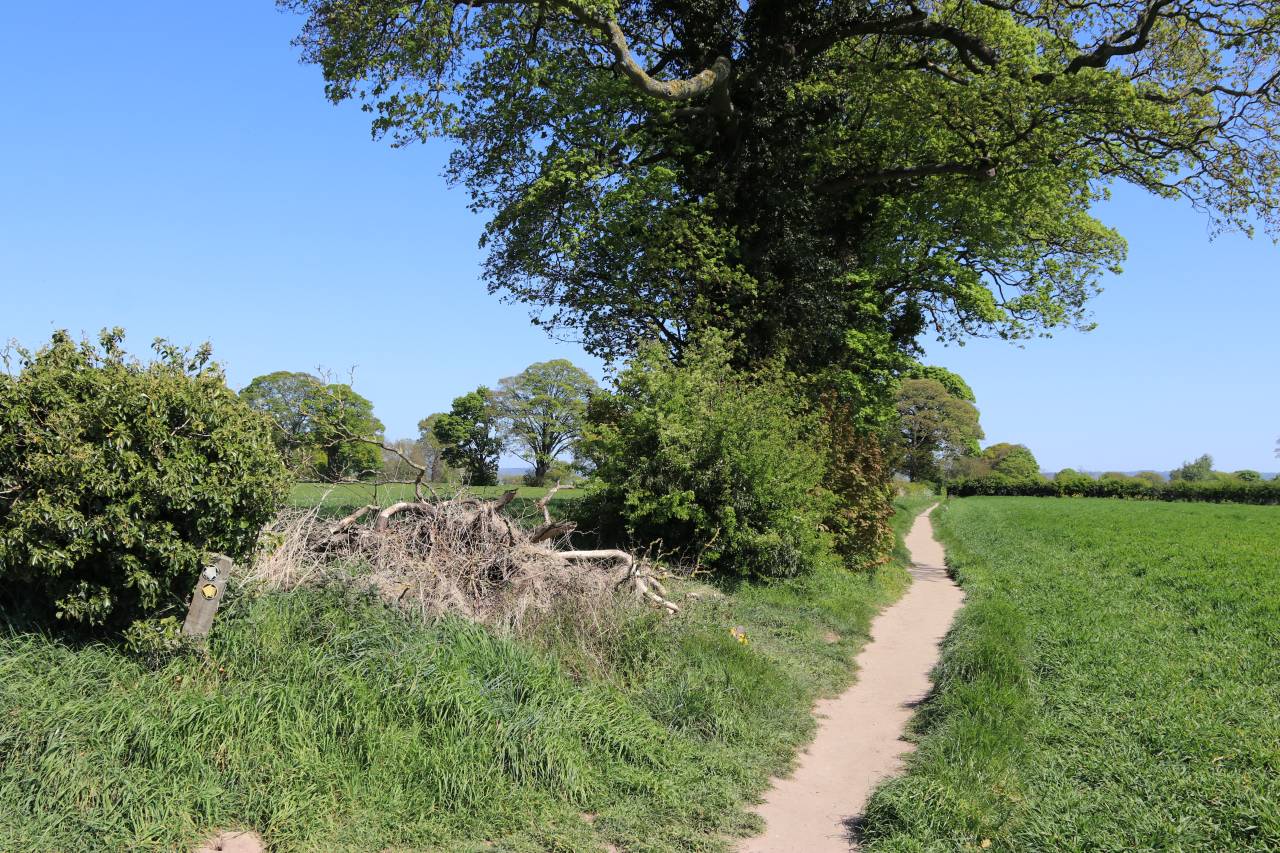  Christleton Footpath 