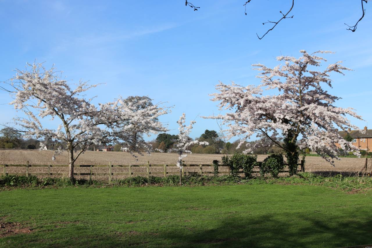  St. James' Churchyard, Christleton 