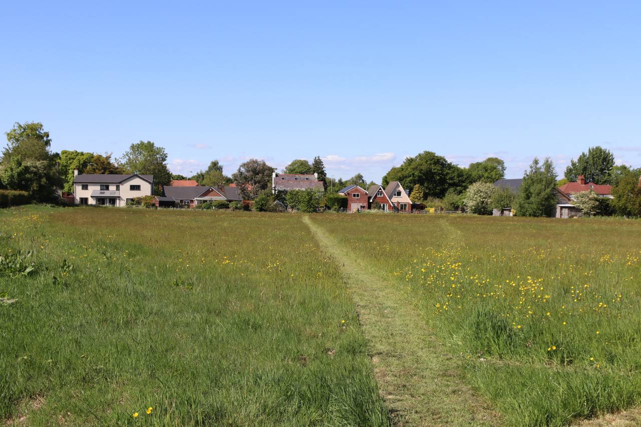  A meadow iin Litleton 