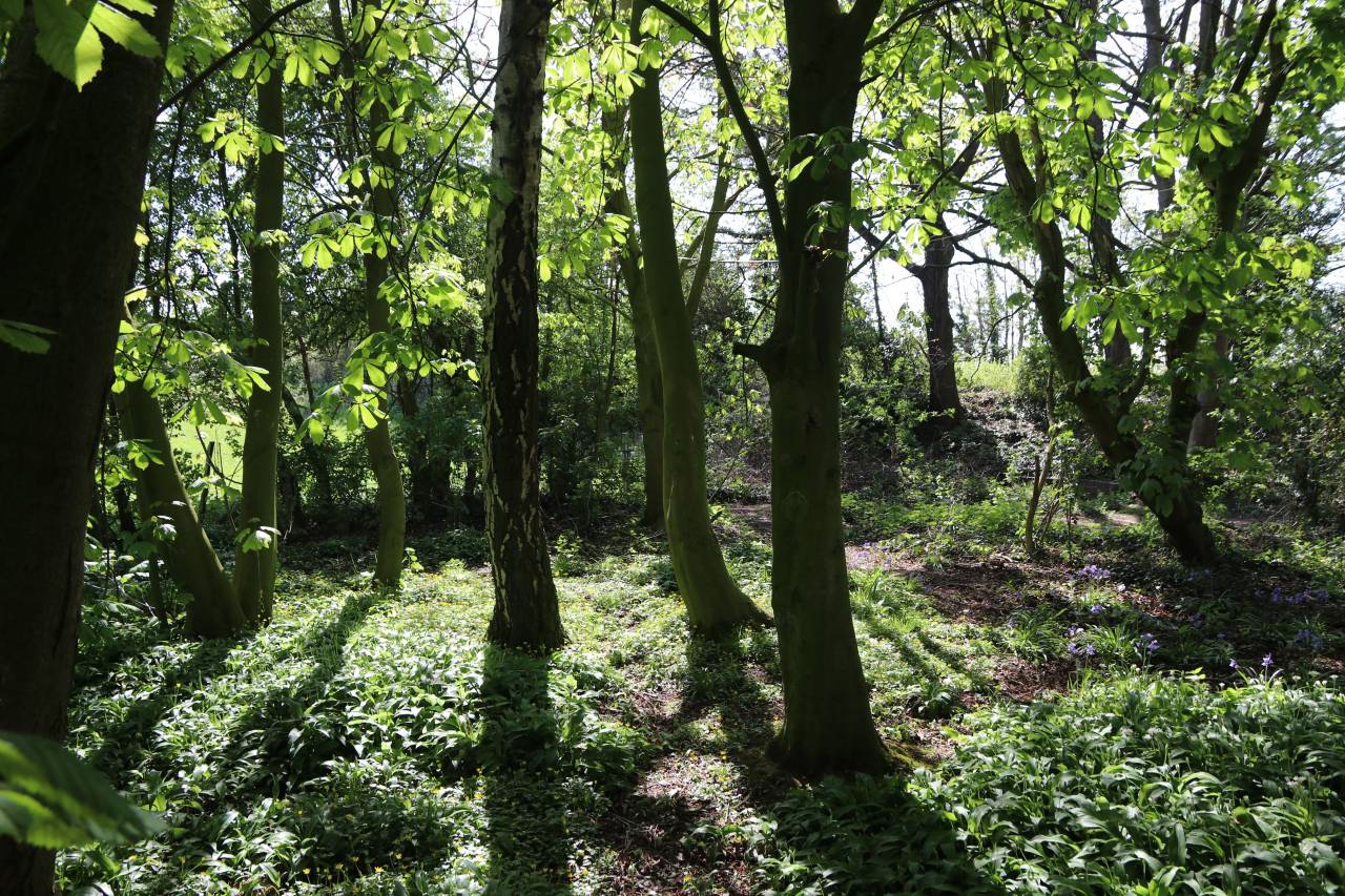  Copse on Baker Way, Christleton 