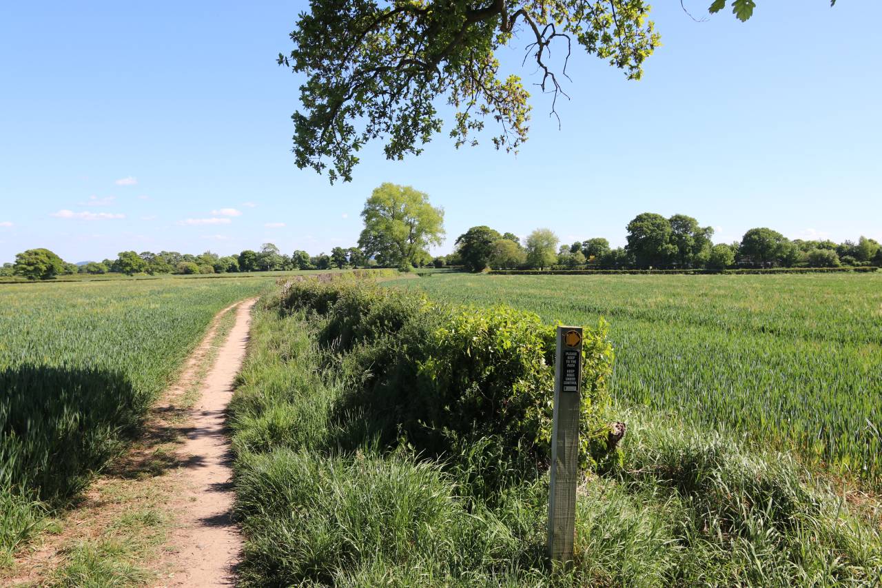  Littleton to Christleton Path 