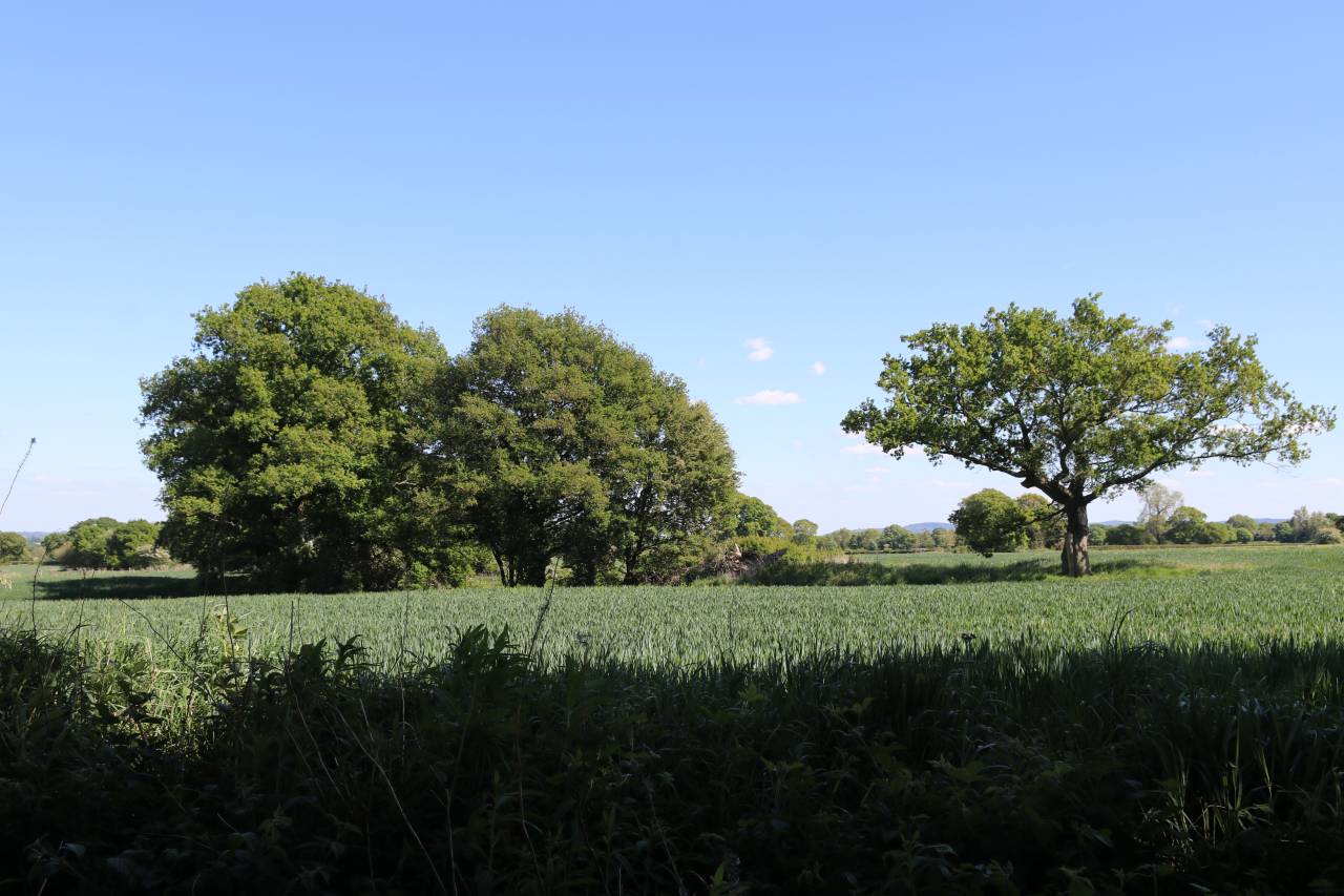  Farming scene at Littleton 