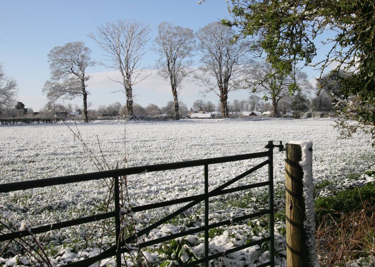  Field in Christleton in the Snow 