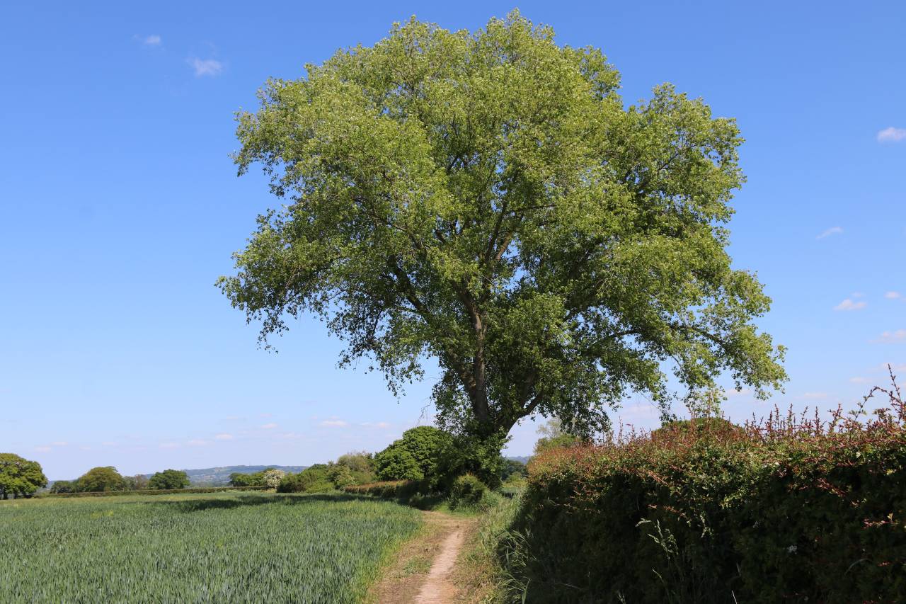  Looking towards Stamford Lane 