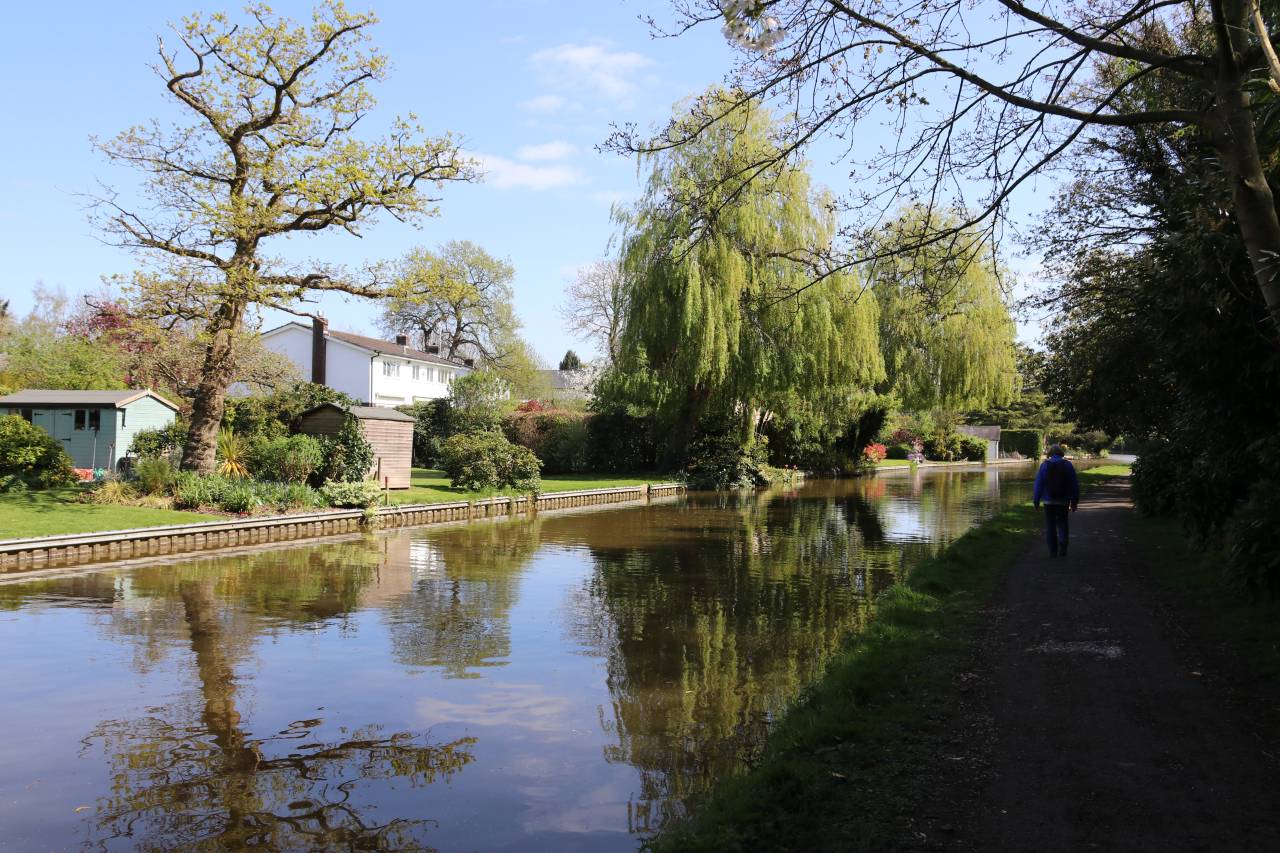  The Canal at Rowton 