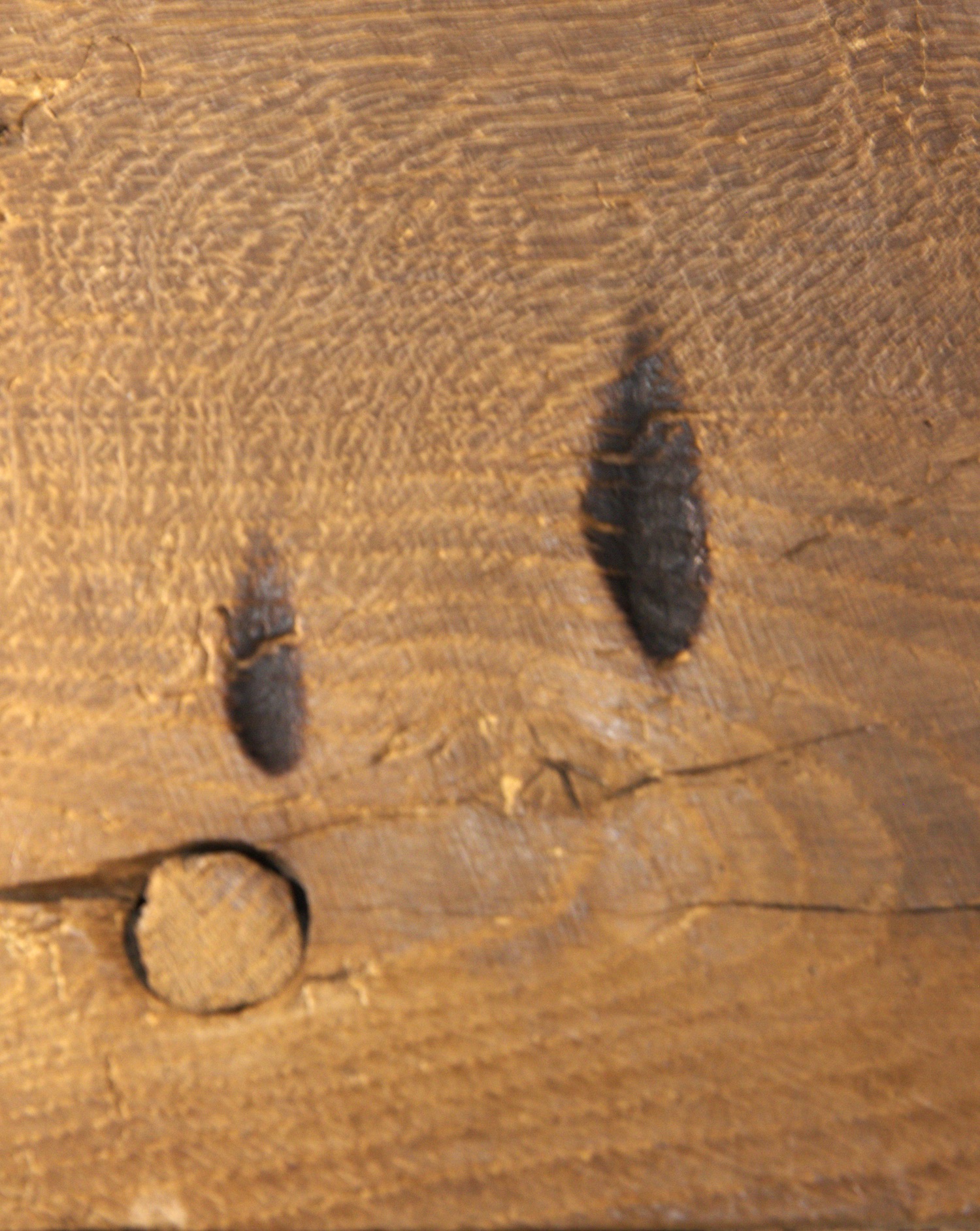 Witch mark inscribed into a Tudor beam,    Little Moreton Hall, Cheshire