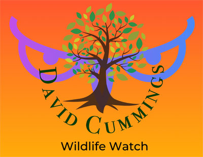 Wildlife Watch Logo