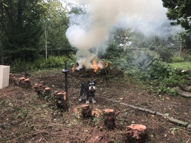 Bertie in charge of the bonfire