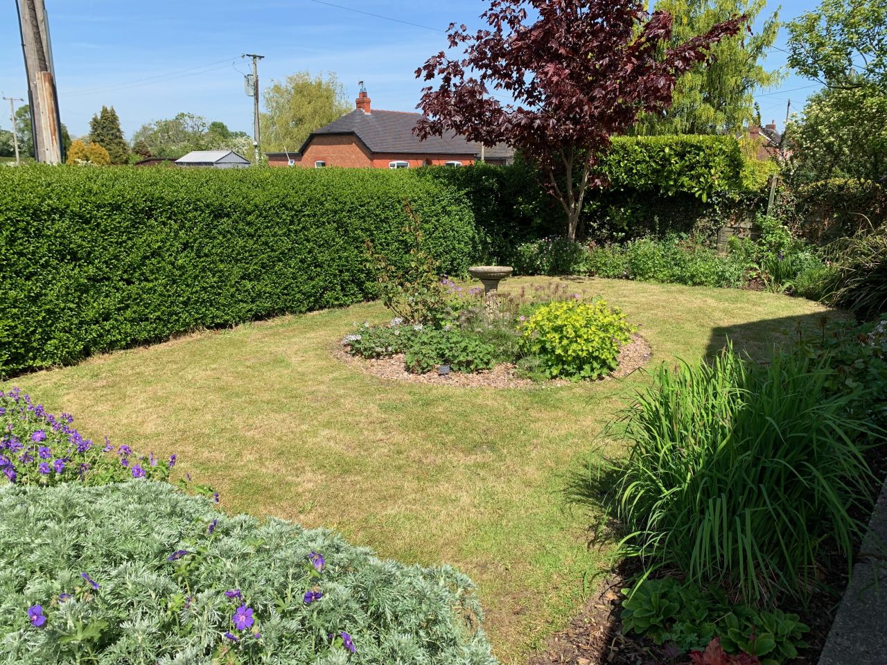 Front garden  Front garden