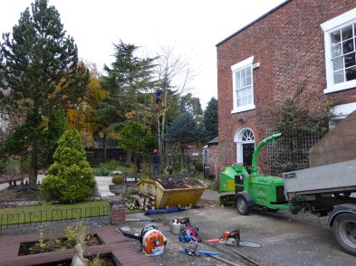 Chopping up tree branches
