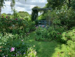 Quiet arbour