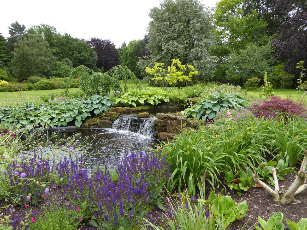 Waterfall  Waterfall