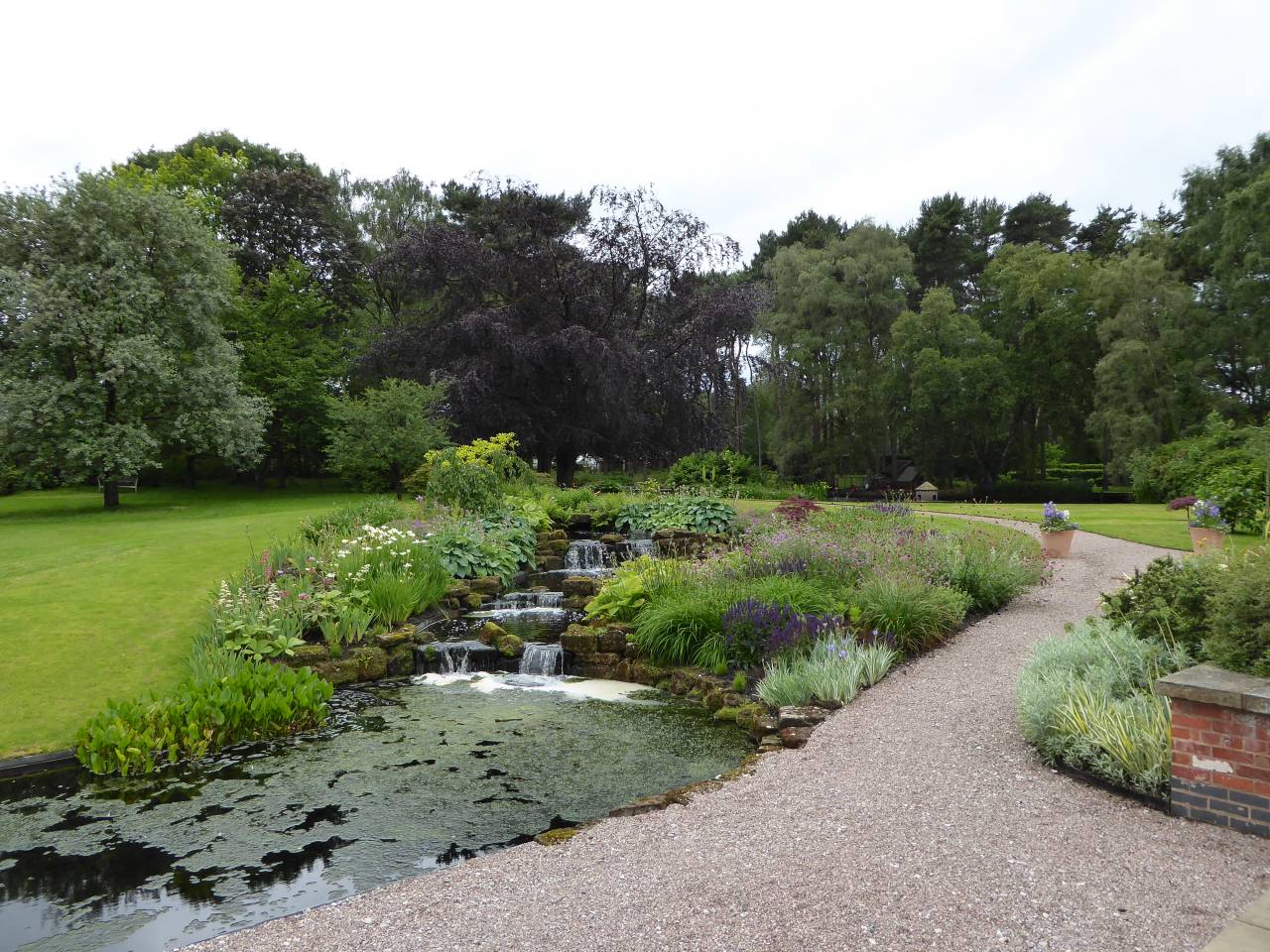 Start of the Rill  Start of the Rill