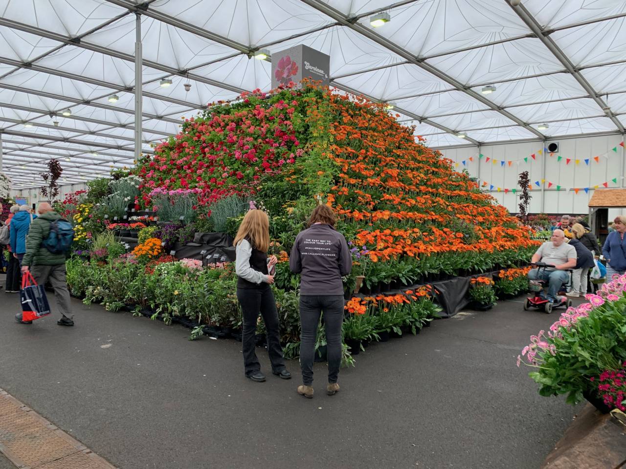 Plant Pyramid  Plant Pyramid