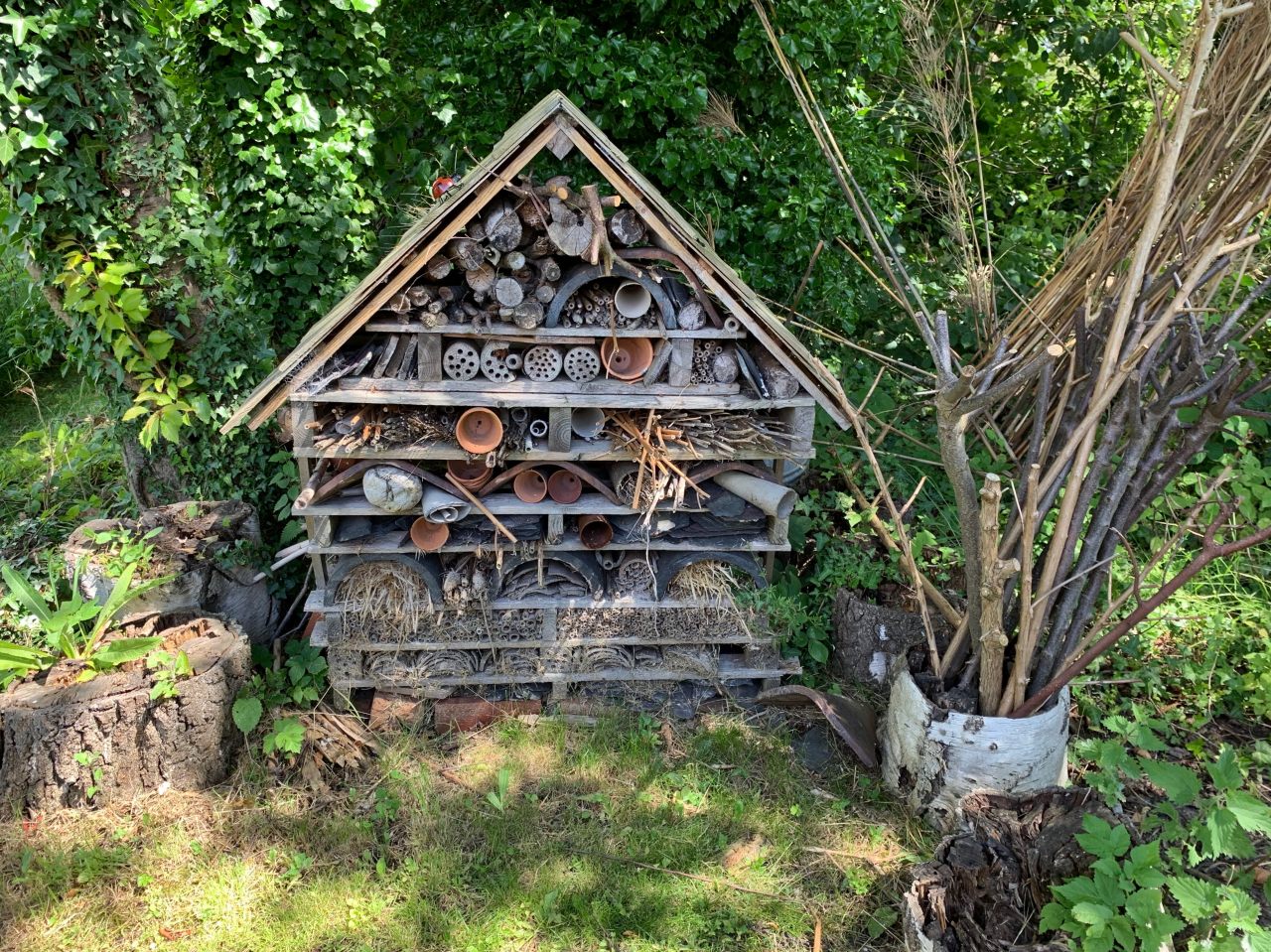 Bug Hotel