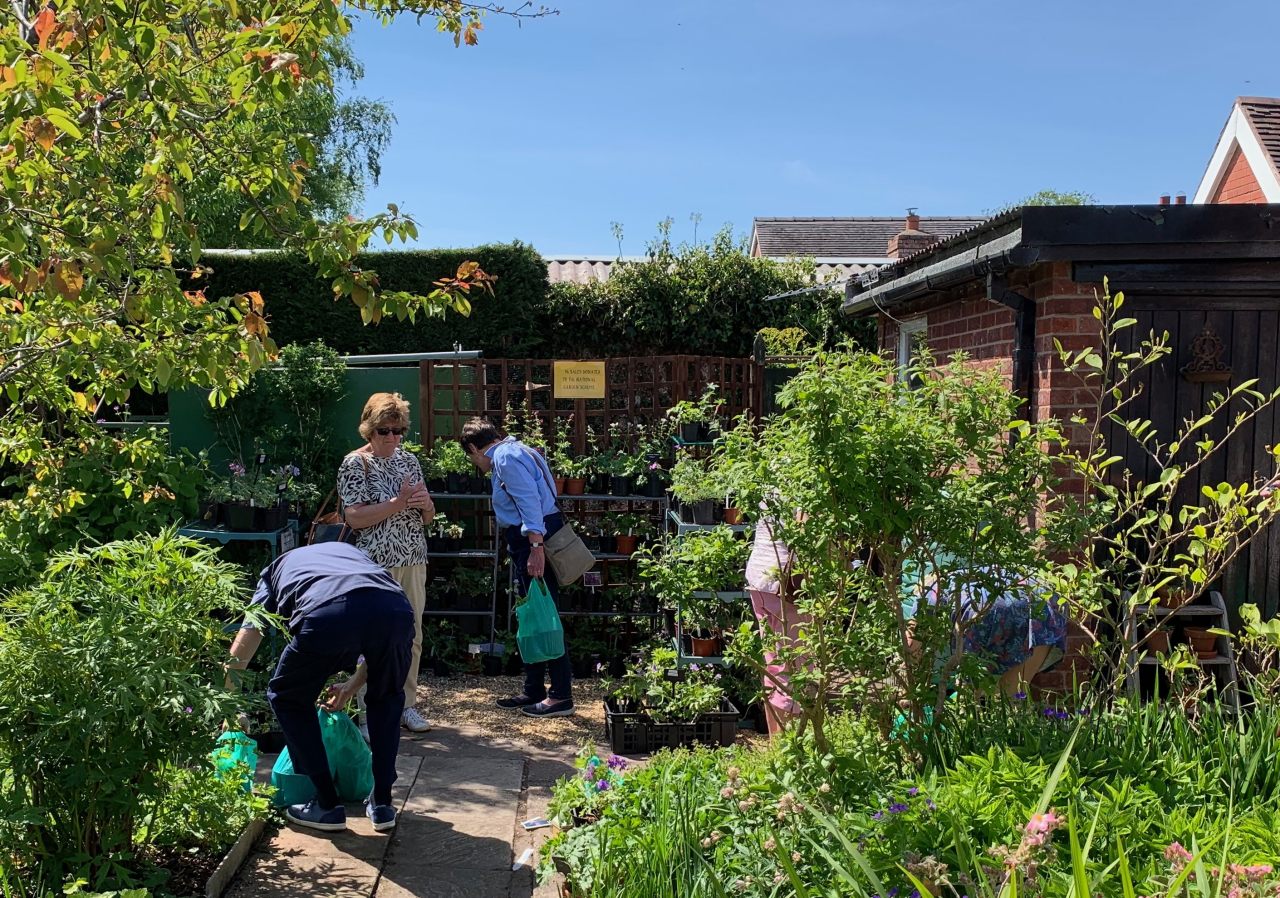 Plant sales  Plant sales