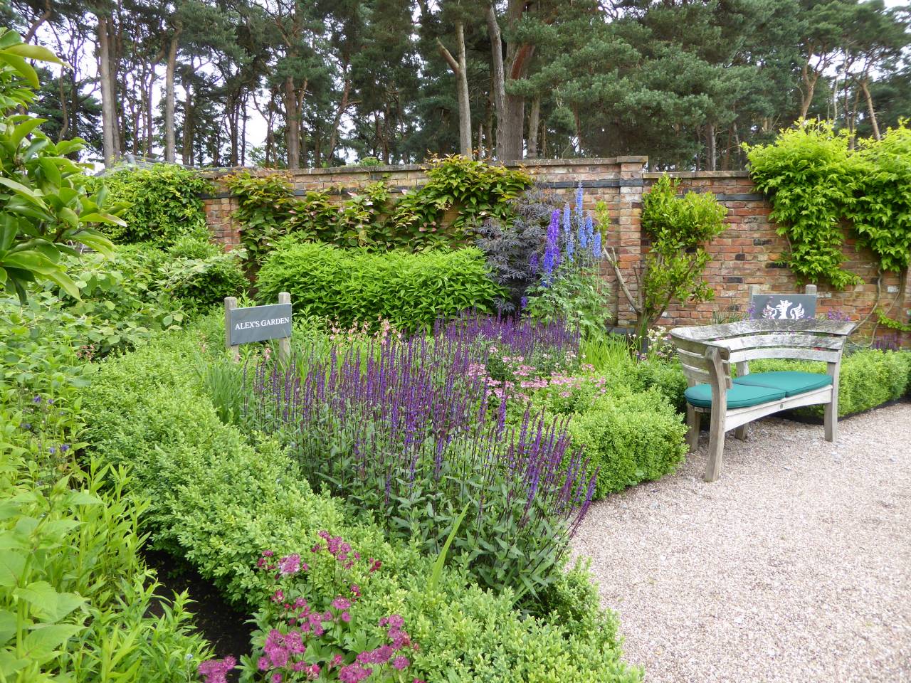 Alex's Gardden  Alex's Gardden