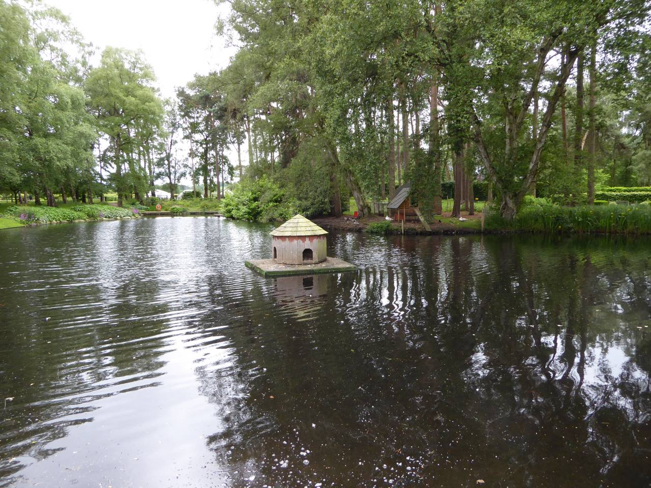 Duck House  Duck House