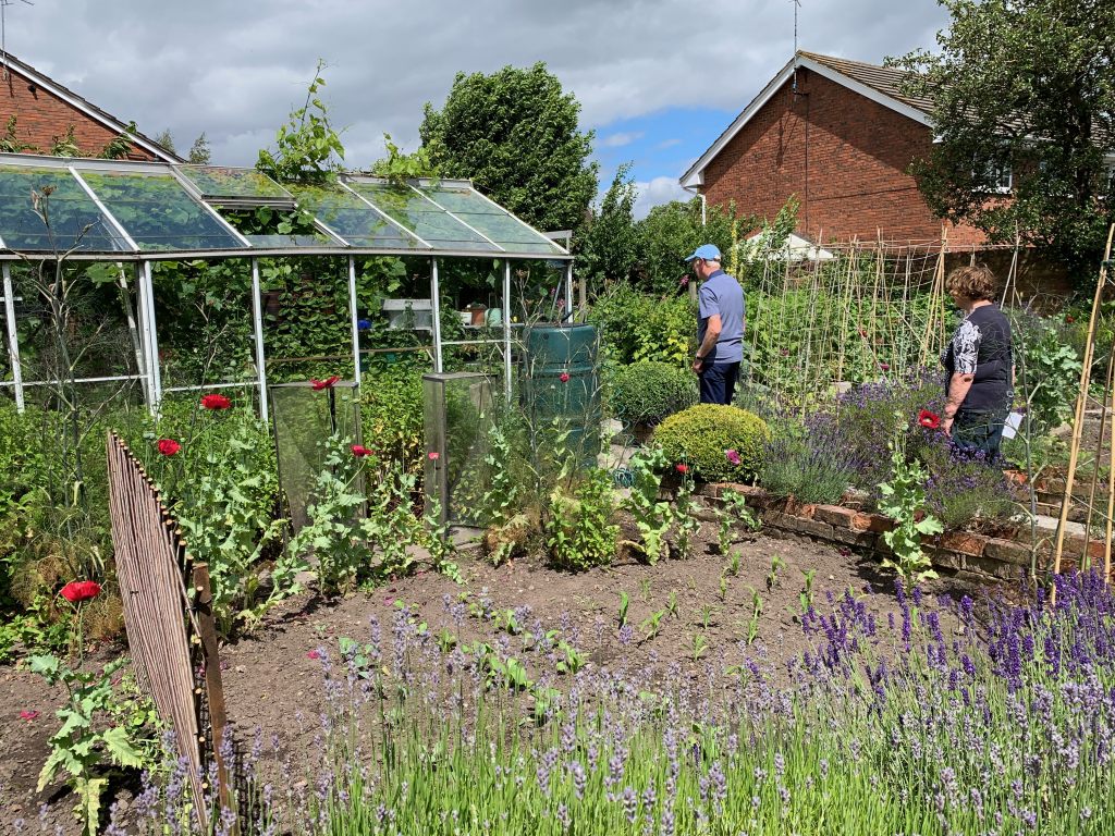 Greenhouse and vegetable garden