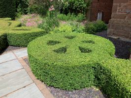 Unique topiary