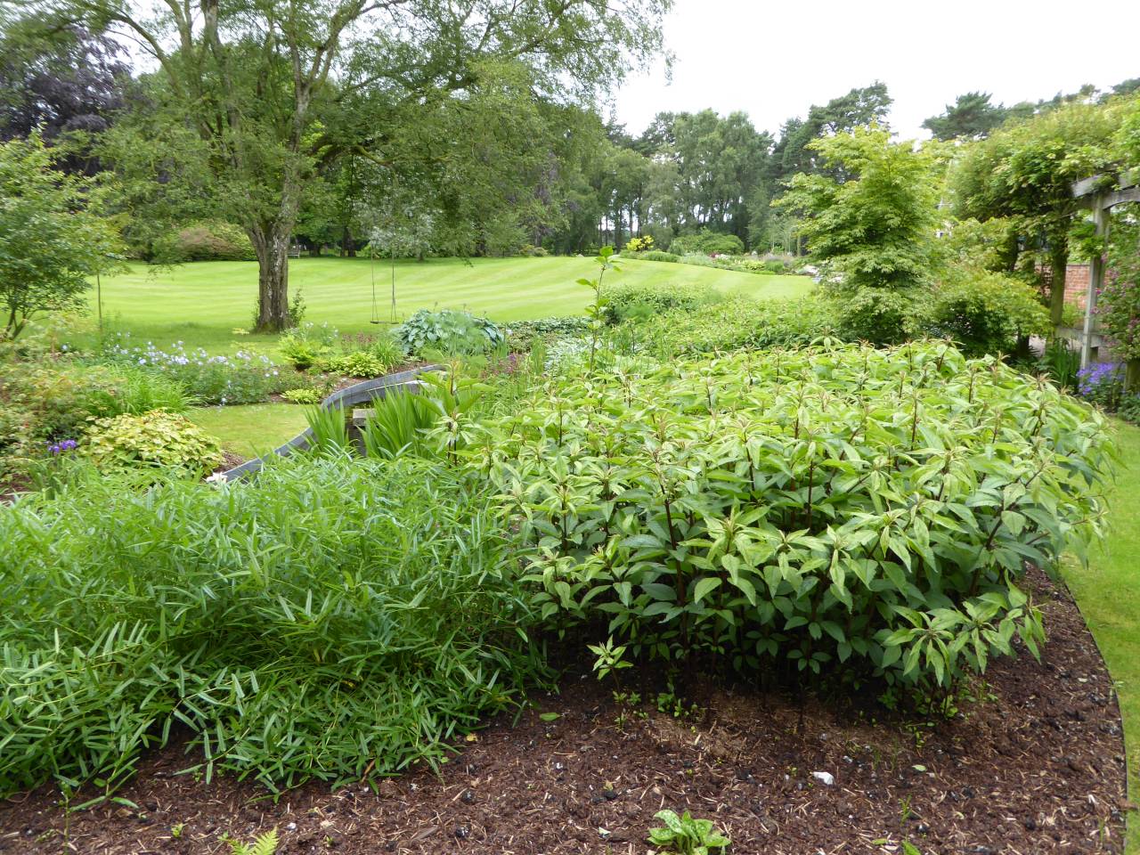 House Terrace  House Terrace