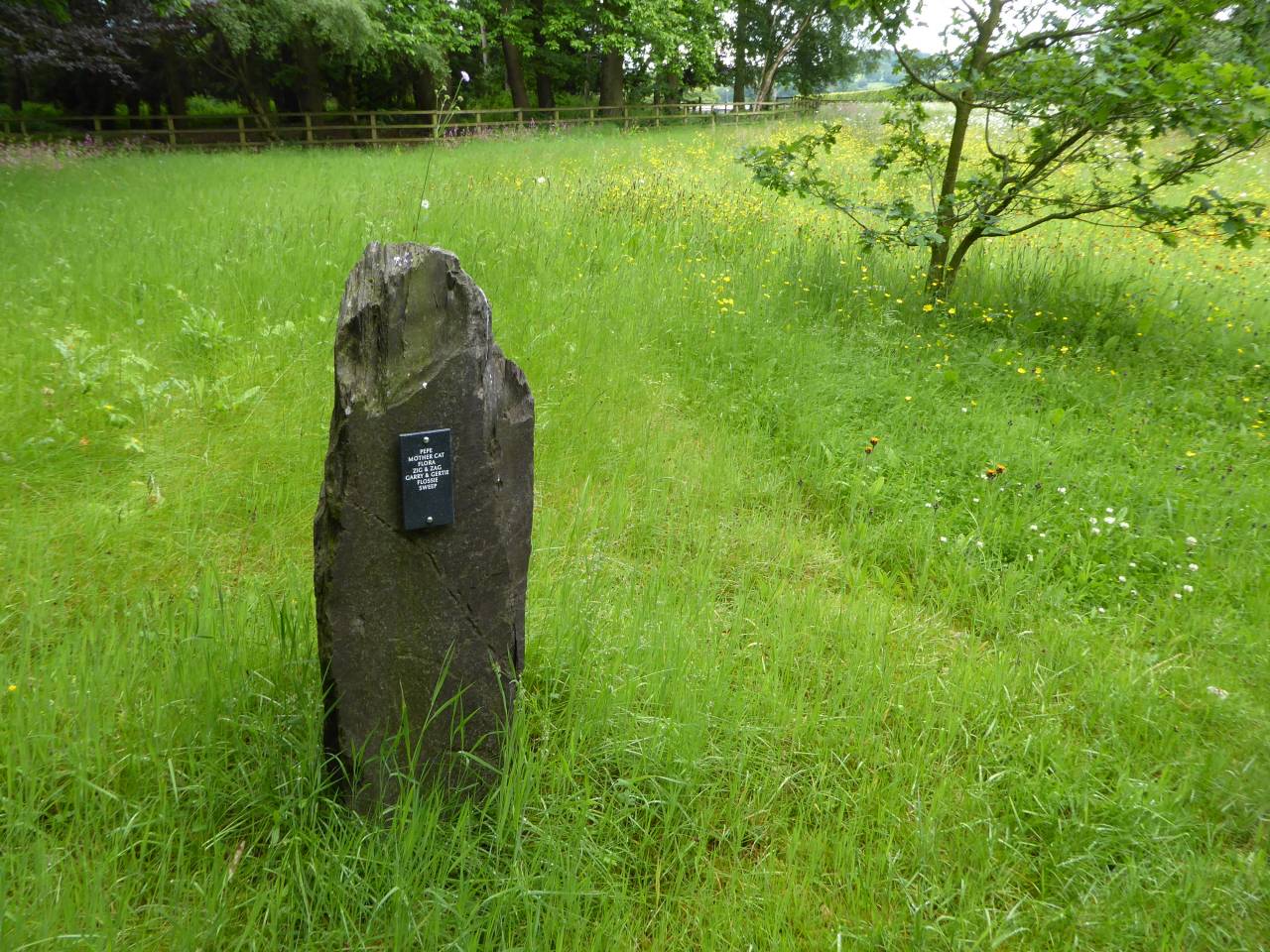 Pets Rest in Peace  Pets Rest in Peace