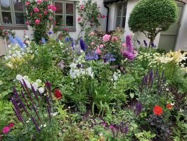 Herbaceous bed