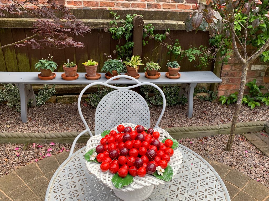 Another hosta display idea