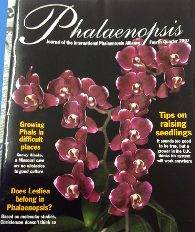  American Phalaenopsis Magazine 