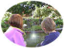 Woodfields Pond, Christleton