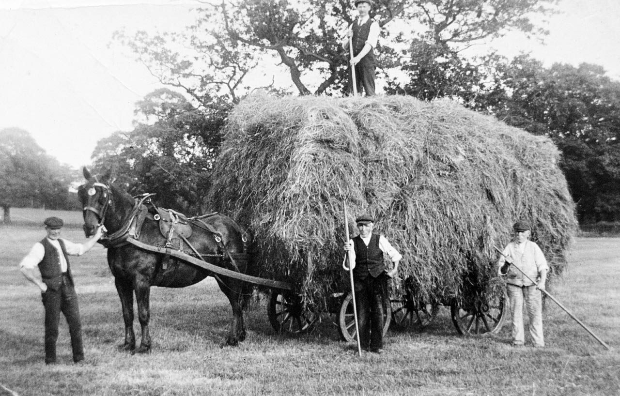 Haymaking in Christleton