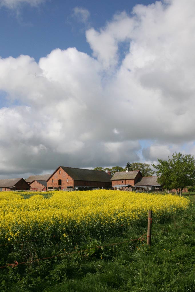 Cottom Edmunds Farm Christleton