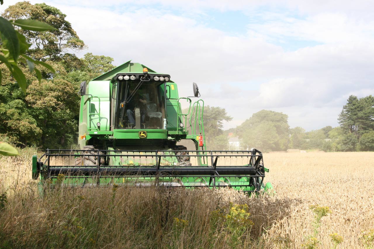 Ardens cutting Wheat in Christleton