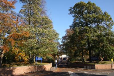 Site of the Ice House