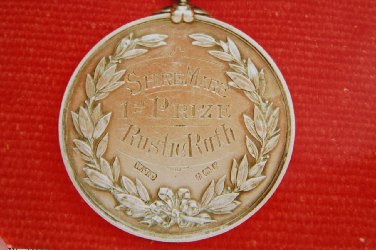 Shire Mare Winner Rustic Ruth 1913