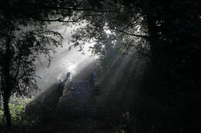  The Bridges at Hockenhill 