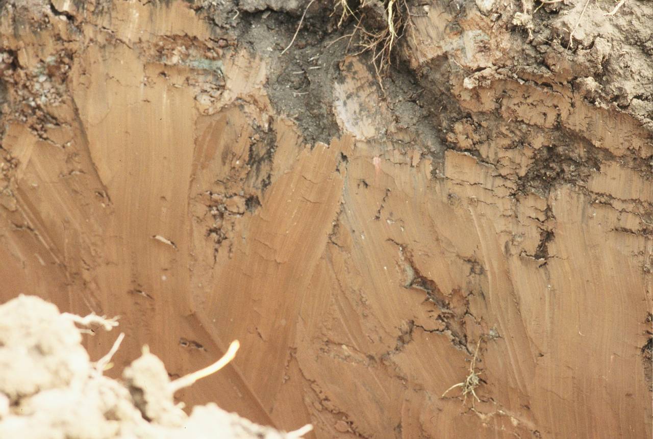 Clay layer  Clay layer