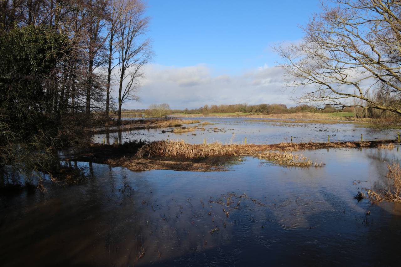 Flooded Pond and big Meadow at Hockenhull
